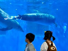 -福州罗源湾海洋世界旅游区