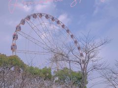 -顾村公园