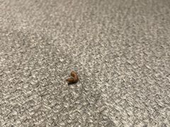 -上海外滩雅致酒店