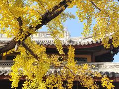 -龙华素斋(龙华路店)