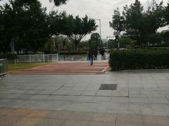 -珠江夜游广州塔·中大码头