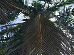 -白沙门生态公园