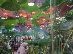 -顺水湾·牛肉牛杂火锅(驾鹤店)