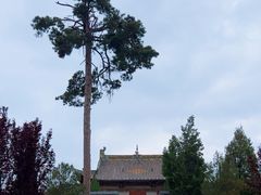 -北吉祥寺
