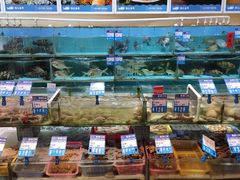 零售区-强记海鲜·大排档(蛇口新街店)