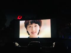 -枫花园汽车电影院(朝阳公园店)