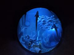 -成都浩海立方海洋公园