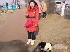 -丁香湖公园