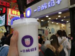 -一只酸奶牛(八一路店)