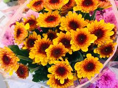 -茶马花街(城西银泰城店)