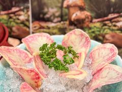 -蘑界·野生菌火锅(深业上城店)