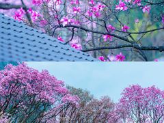 -九皇山景区