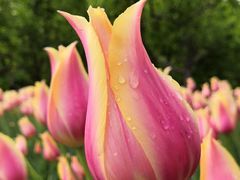 -长春公园(普阳街道)