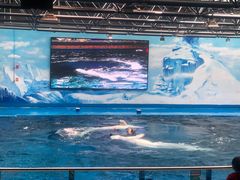 -石林冰雪海洋世界