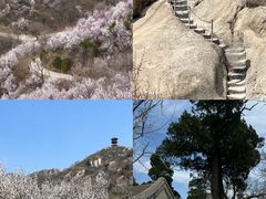 -北京凤凰岭