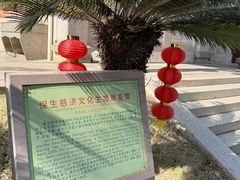 -青礁慈济宫