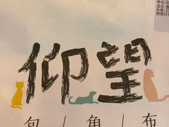 -仰望包角布