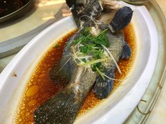 石斑鱼-琼菜坊·无鸡不成宴·海南菜老爸茶糟粕醋(海口骑楼老街店)
