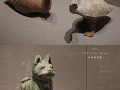 -河南博物院