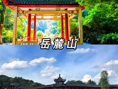 -橘子洲景区