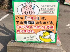 -宫城藏王狐狸村