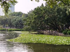 -荔湾湖公园
