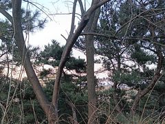 -棒棰岛宾馆景区