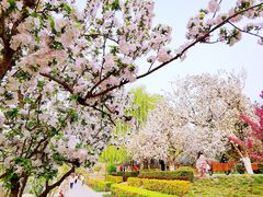 -海棠花溪(元大都城垣遗址公园)
