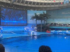 -海合安成都极地海洋公园