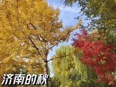 -济南大明湖景区