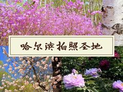 -黑龙江省森林植物园