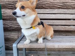 -鬼笑石后山停车场