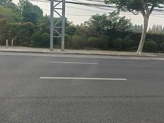 -上海体育场