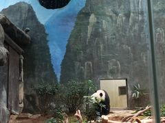 -香港海洋公园