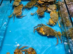 -拉完海鲜大排档(温岭店)