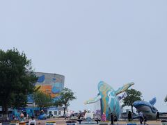 -海合安青岛极地海洋公园