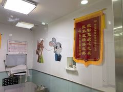 -特一安24小时宠物医院·骨科·中兽医