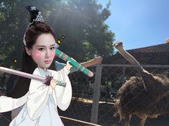 -意大利农场度假村