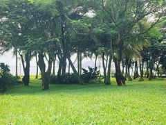 -深圳湾公园(南山区)