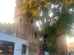 -J Create城市露营咖啡·简餐·宠物(上海动物园店)