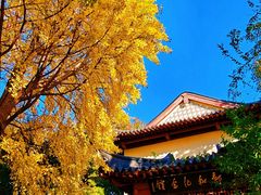 -郑和公园