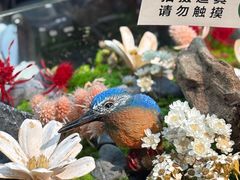 -Sony Store 索尼(上海淮海中路店)