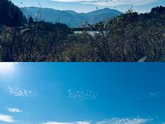 -四明山国家森林公园