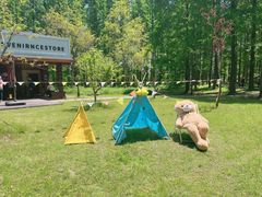 -黄海国家森林公园