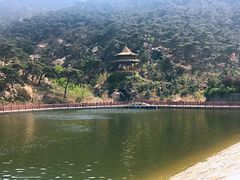 -徂徕山森林康养度假谷温泉
