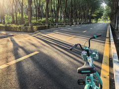 -吉林大学(前卫南区)