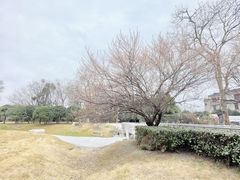 -国际非物质文化遗产博览园