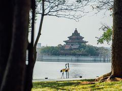 -顺峰山公园