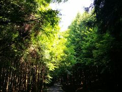 -山王坪喀斯特国家生态公园