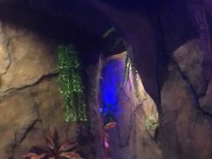 -醉小酒馆·川菜·江湖菜·重庆菜(观音桥旗舰店)